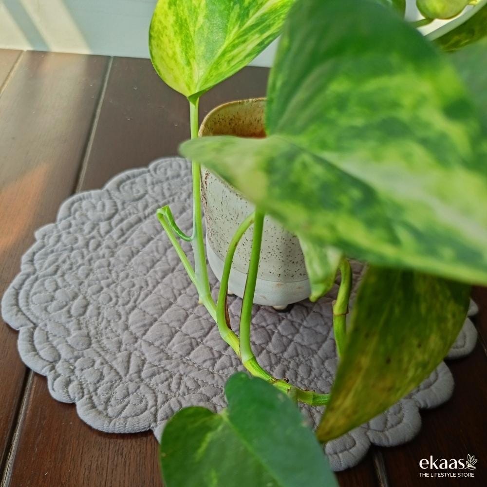 Baby Lindsey Quilted Placemats, Set of 2